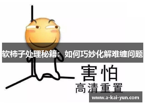 软柿子处理秘籍:如何巧妙化解难缠问题 软柿子处理秘籍:如何巧妙化解难缠问题