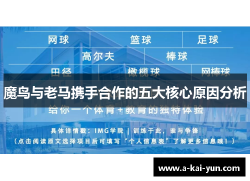 魔鸟与老马携手合作的五大核心原因分析